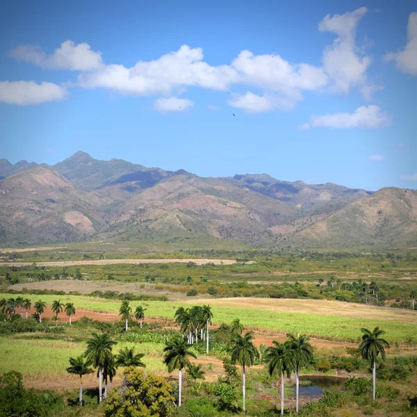 Valle de Sugar Mill — Foto de Stock