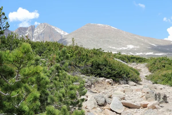 Colorado trail — Stockfoto