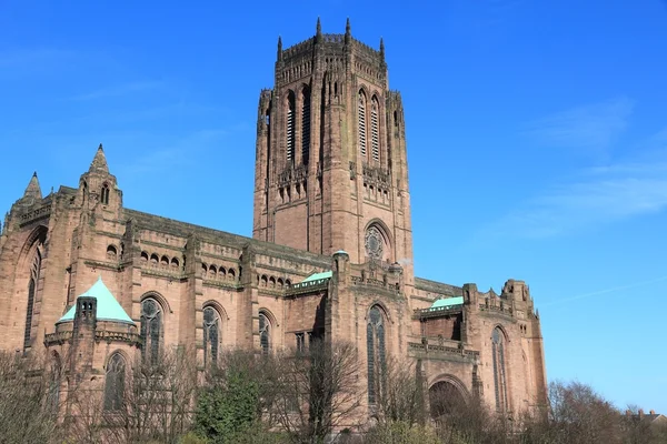 Liverpool cathedral — Stock Fotó