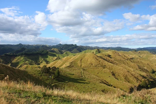 Зеленая Новая Зеландия — стоковое фото