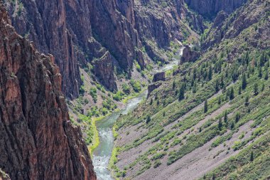 Gunnison siyah Kanyonu