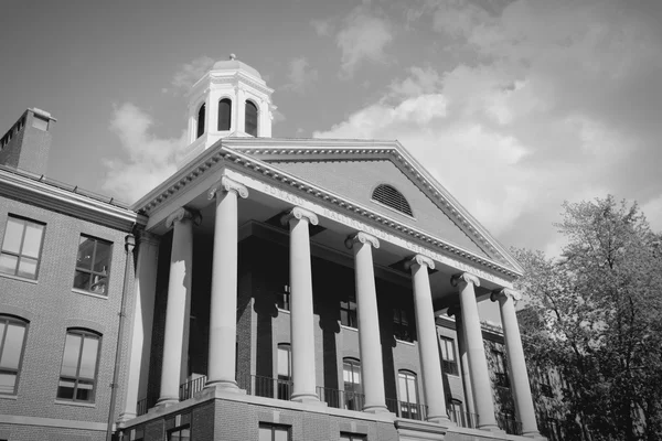 Université Harvard, États-Unis — Photo