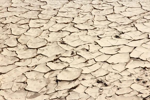 Mojave Desert — Stock Photo, Image