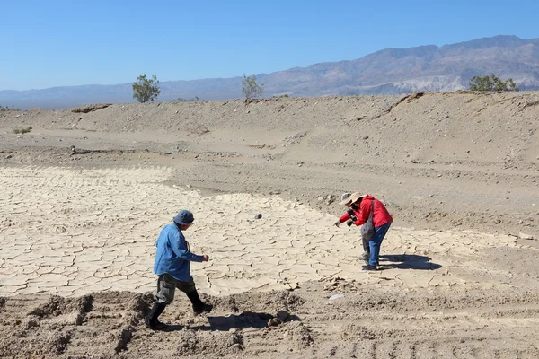 Death Valley — Stock Photo, Image