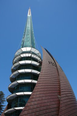 Kuğu çan, Perth