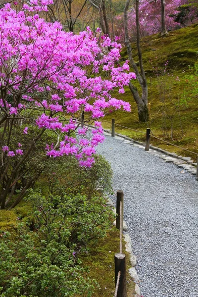 日本 — ストック写真