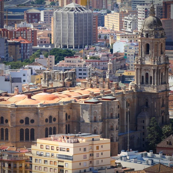 Malaga kathedraal — Stockfoto