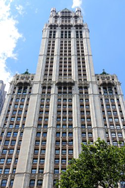 Woolworth Binası, Nyc