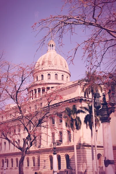 Havana, Kuba — Stock fotografie