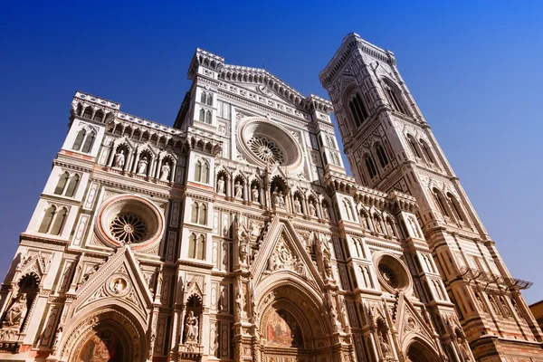 De Dom van Florence — Stockfoto