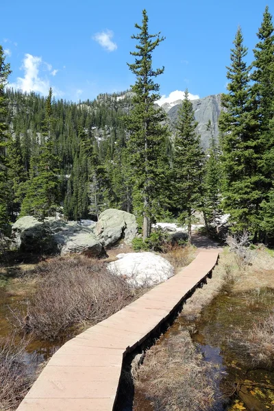 Wandelweg Rocky Mountains — Stockfoto