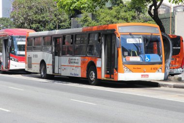 Sao Paulo şehir otobüs