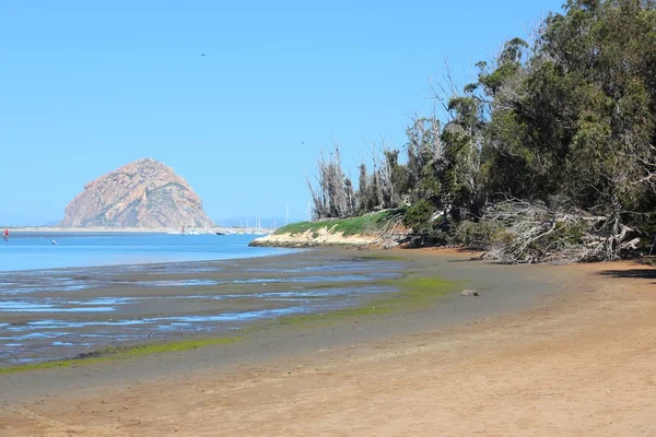 Morro Bay — Stockfoto