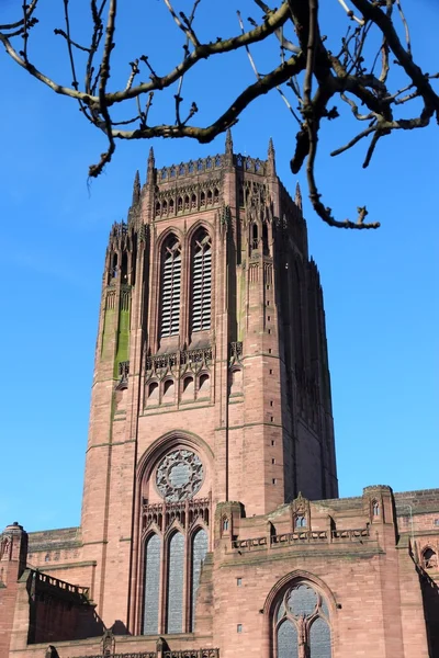 Monumento a Liverpool —  Fotos de Stock