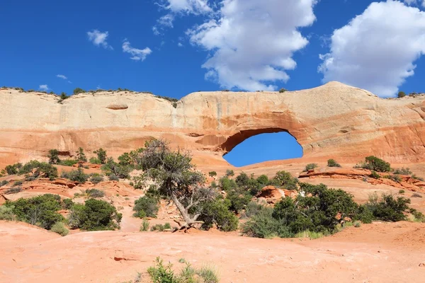 Wilson Arch, Utah — Stok fotoğraf