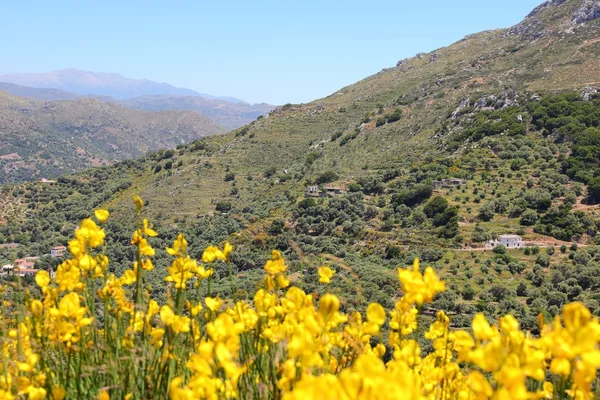 Crete landscape — Stock Photo, Image