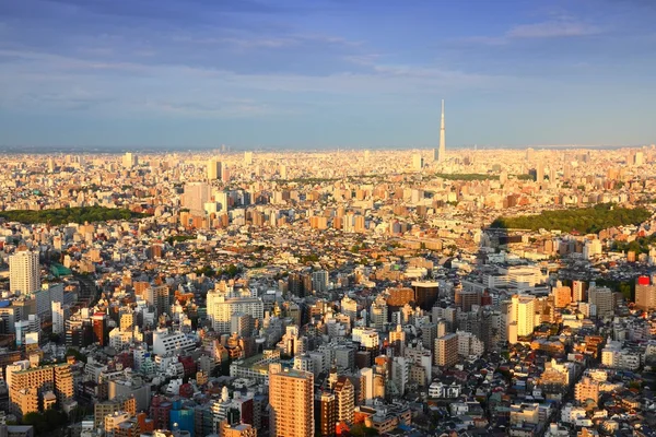 Tokyo sunset — Stock Photo, Image