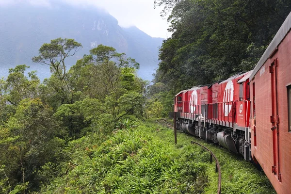 Brasile treno giungla — Foto Stock