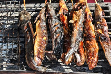 Tayland ızgara balık