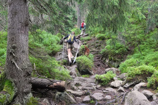 Tatry trekking — Foto Stock