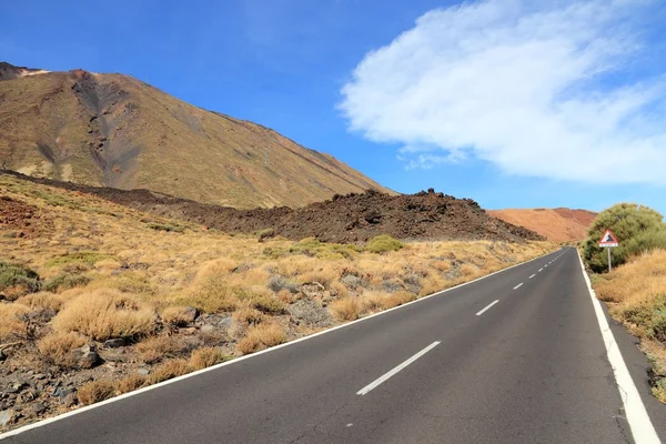 Park narodowy Teide — Zdjęcie stockowe