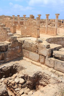 파 포스, 싸이 프 러 스