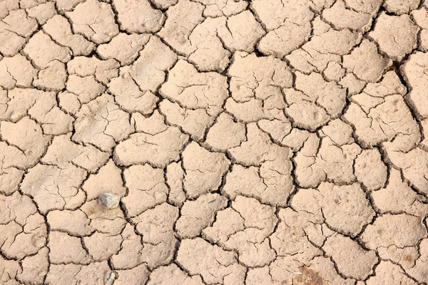 非洲干旱 — 图库照片