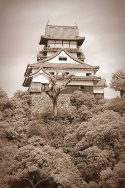 Inuyama kale retro