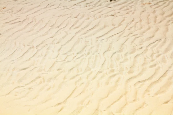 Plage de sable fond — Photo