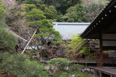 Kyoto, Japonya