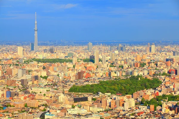 Tokyo sunset — Stock Photo, Image