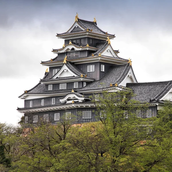 Japanese castle — Stock Photo, Image