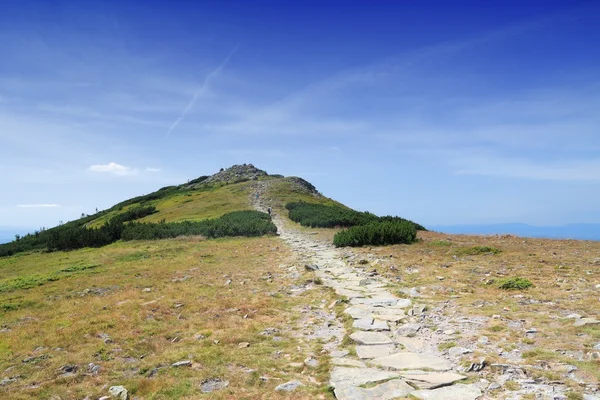 Babia gora — Stockfoto