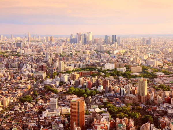 Tokyo západ slunce — Stock fotografie