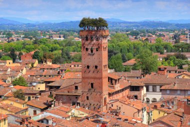 Lucca.