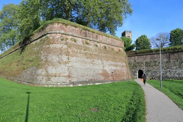 Lucca městské hradby — Stock fotografie