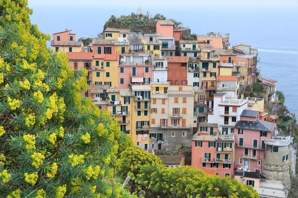 Manarola, Olaszország — Stock Fotó