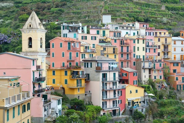 Cinque Terre - Manarolában — Stock Fotó