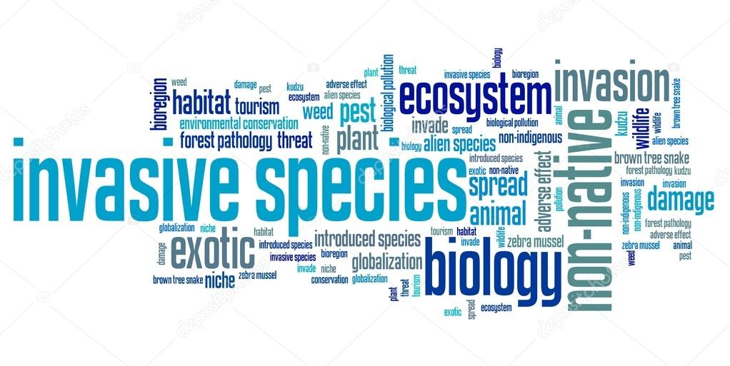 Invasive Species Stock Photo C Tupungato 80121990