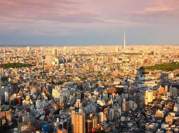 Tokyo — Stock Photo, Image