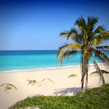 Havana Riviera
