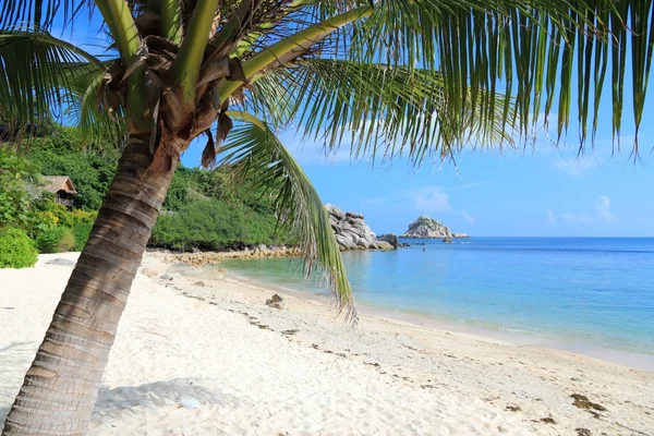 Tailândia ilha praia — Fotografia de Stock