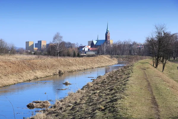 River Brynica — Stock Photo, Image