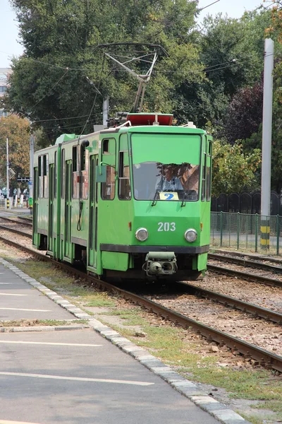 Oradea kollektivtrafik — Stockfoto