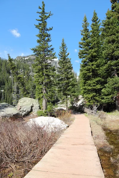 Colorado hiking — Stock Photo, Image