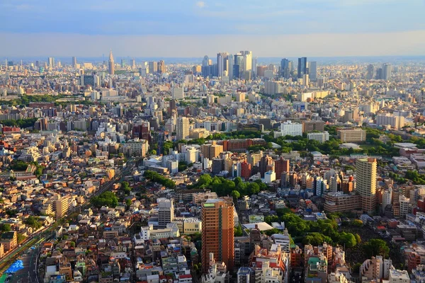 โตเกียวสกายไลน์ — ภาพถ่ายสต็อก