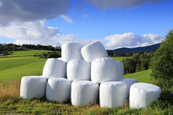 Hay balyaları — Stok fotoğraf