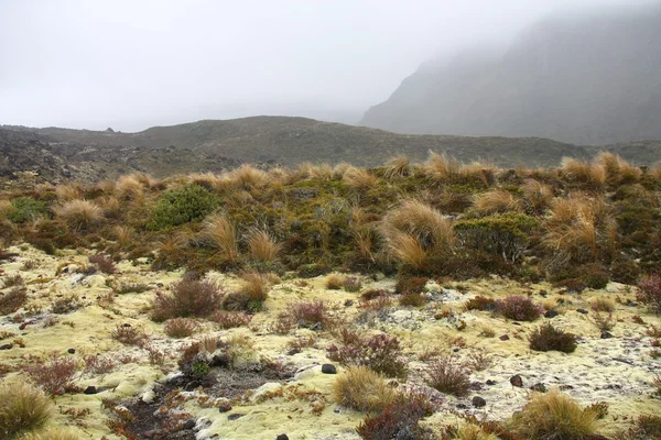 Nowa Zelandia - szlak Tongariro — Zdjęcie stockowe