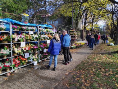 BYTOM, POLAND - 1 Kasım 2023: İnsanlar Polonya 'nın Bytom kentinde Azizler Günü (Lehçe: Dzien Wszystkich Swietych) sırasında çiçek ve mezar mumları satın alır.