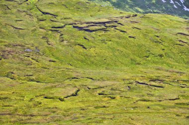 Carrick 'teki turba bataklıkları, İrlanda' daki Donegal ilçesi..